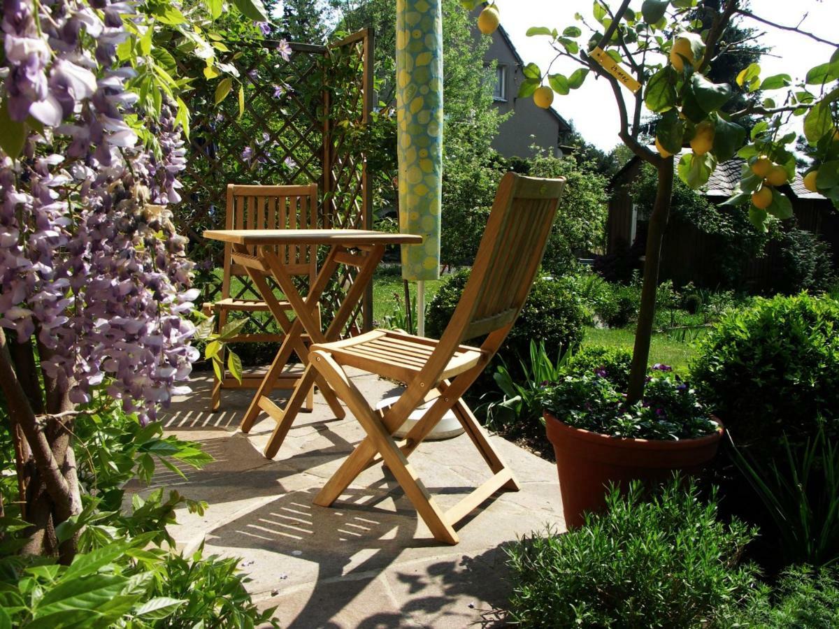Ferienwohnung Am Dresdner Elbhang Dresda Esterno foto